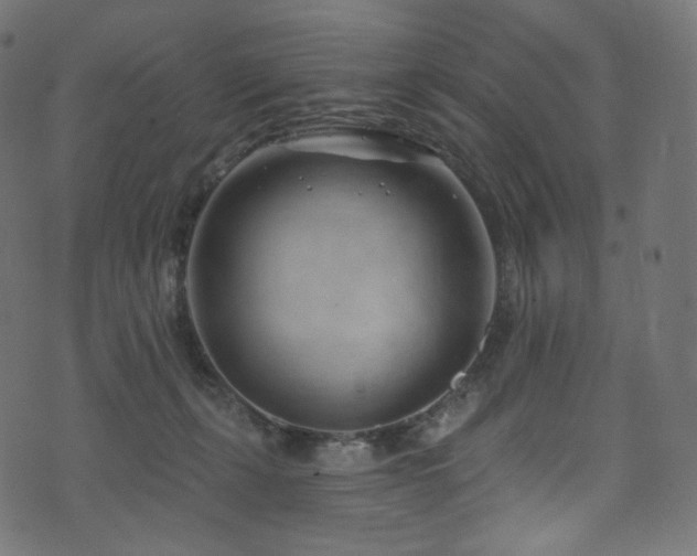 X0000074340271200608251358