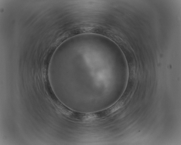 X0000074340274200608251358