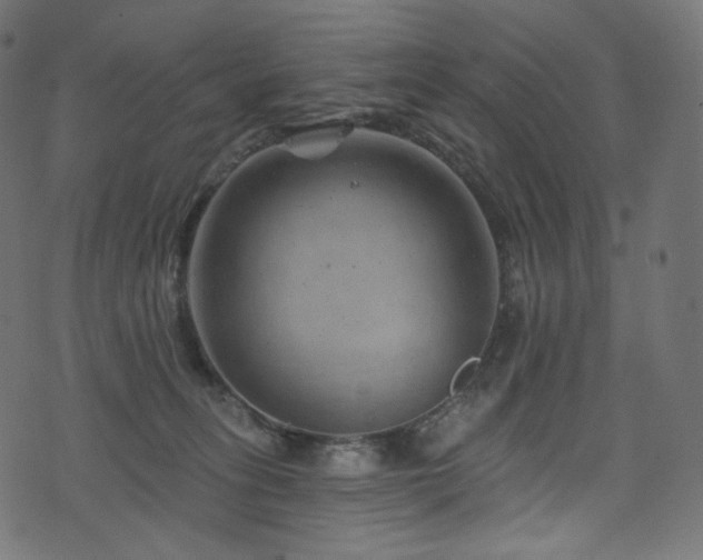 X0000074340275200608251358