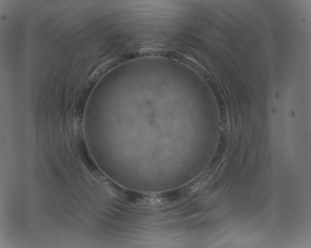 X0000074340276200608251358