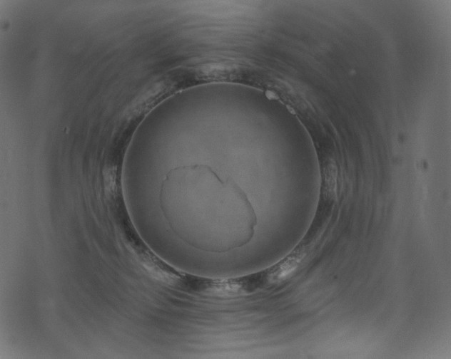 X0000074340278200608251358