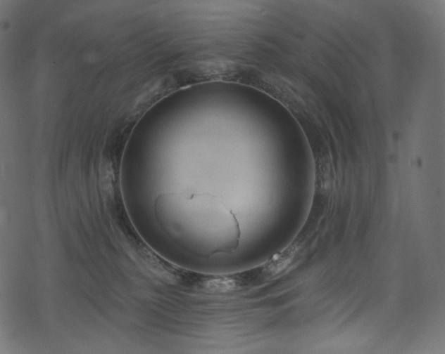 X0000074340279200608251358