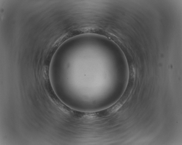 X0000074340280200608251358