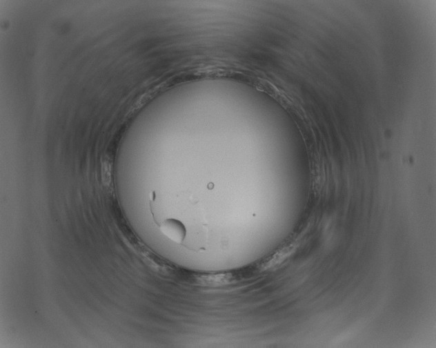 X0000074340281200608251358