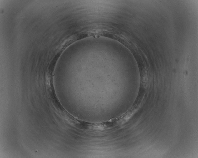 X0000074340282200608251358