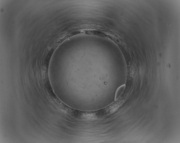 X0000074340283200608251358