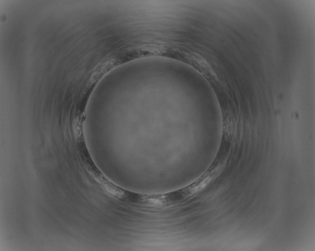 X0000074340285200608251358