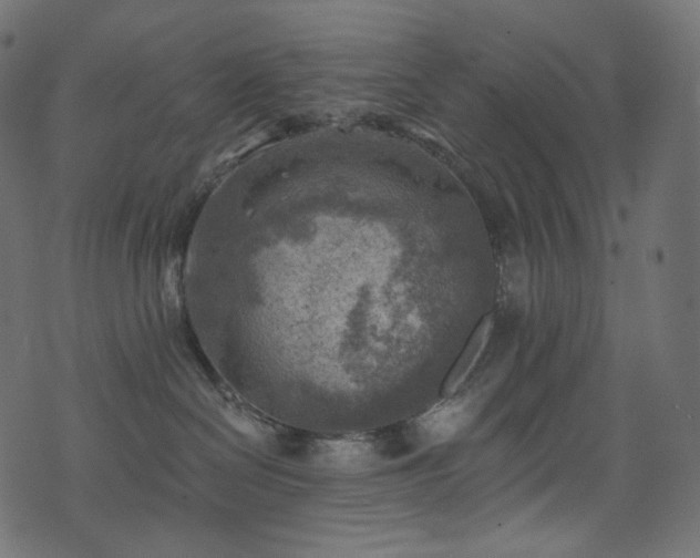 X0000074340286200608251358