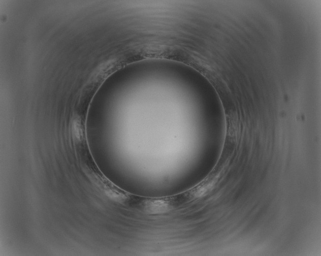 X0000074340287200608251358