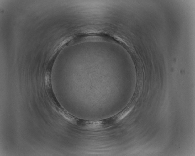 X0000074340288200608251358