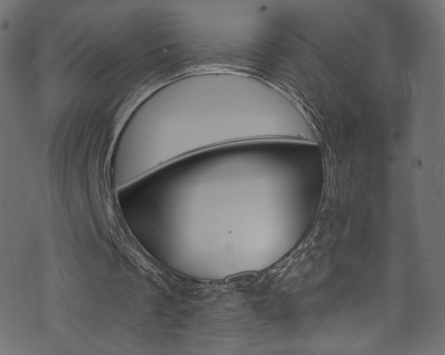 X0000074340289200608251358