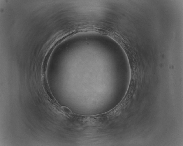 X0000074340290200608251358