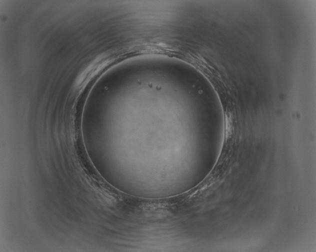 X0000074340291200608251358