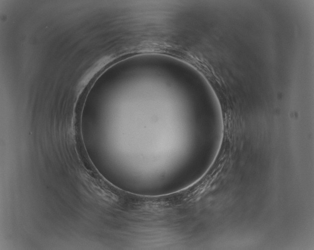 X0000074340292200608251358