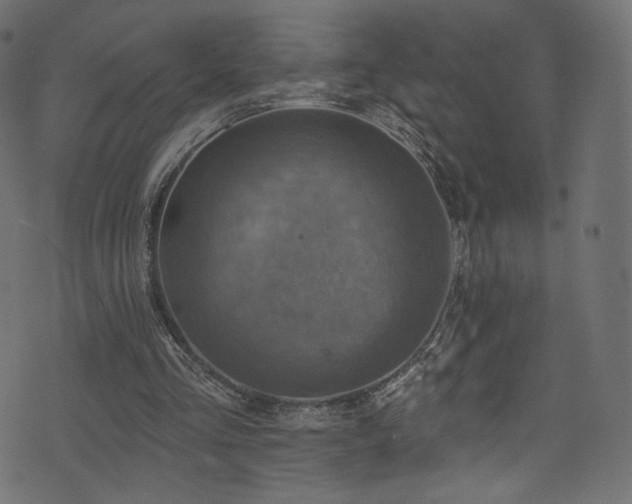 X0000074340293200608251358