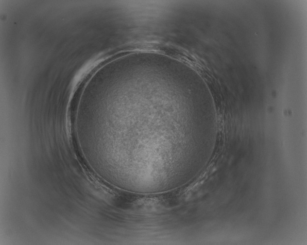 X0000074340294200608251358