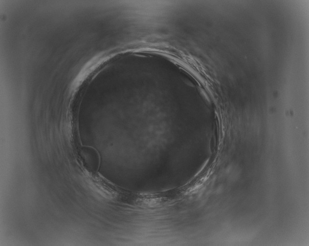 X0000074340295200608251358