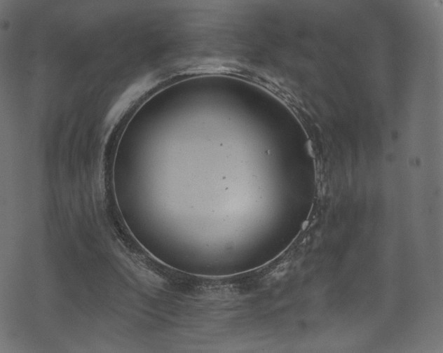 X0000074340296200608251357