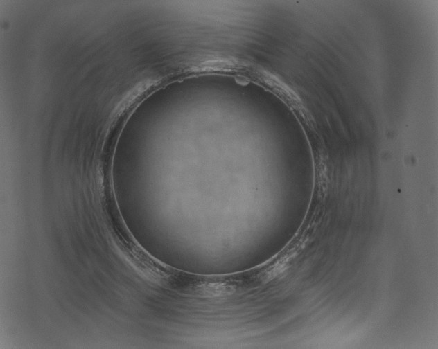 X0000074340298200608251357