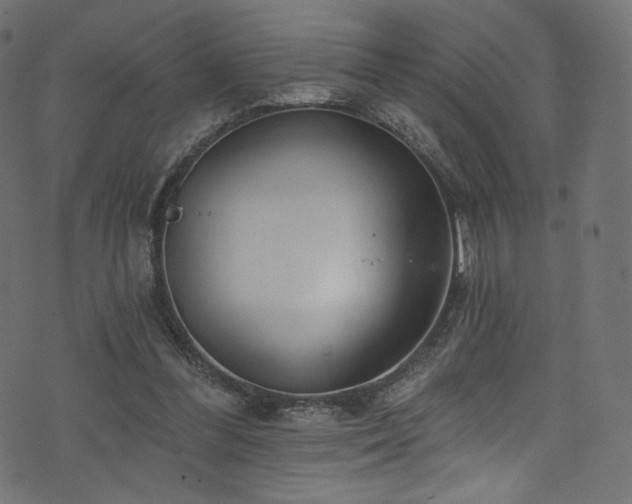 X0000074340300200608251357