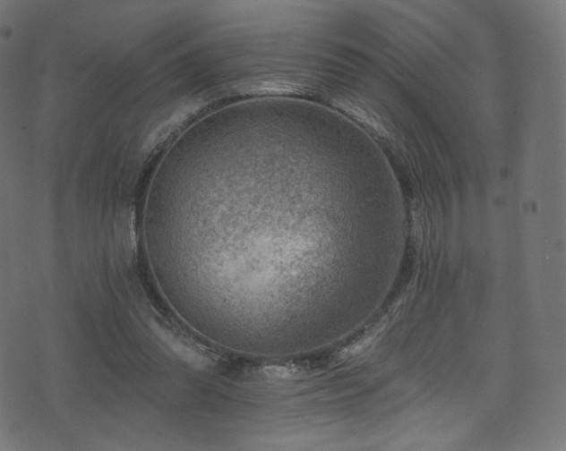 X0000074340302200608251357