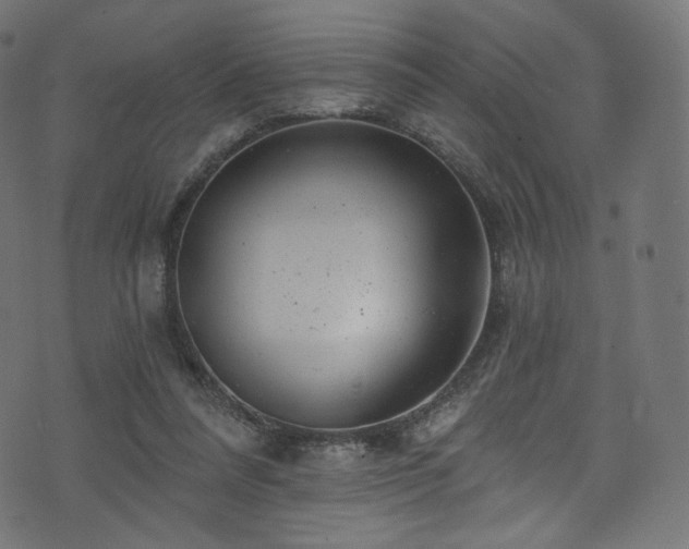 X0000074340304200608251357