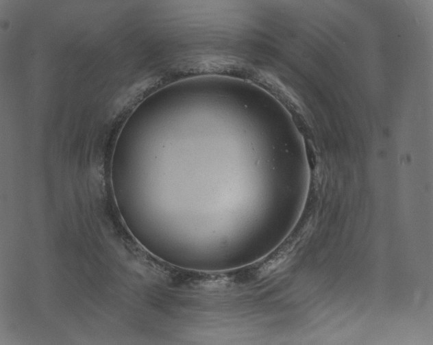 X0000074340306200608251357