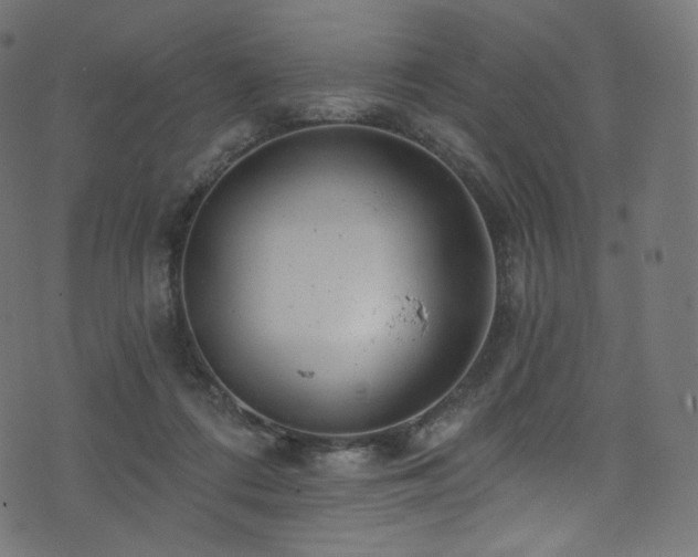 X0000074340312200608251357