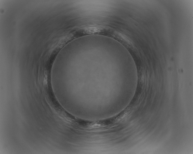 X0000074340315200608251357