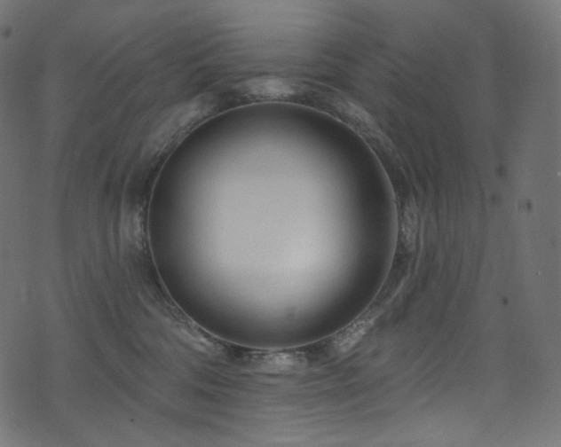 X0000074340330200608251357