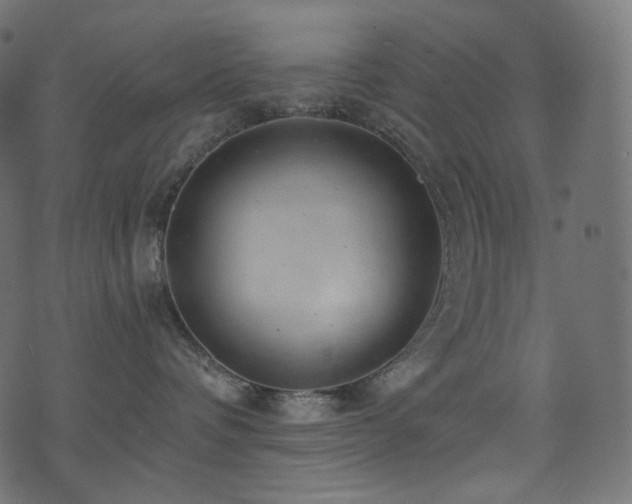 X0000074340336200608251357