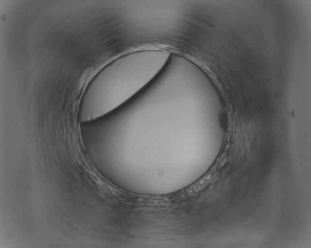 X0000074340337200608251356