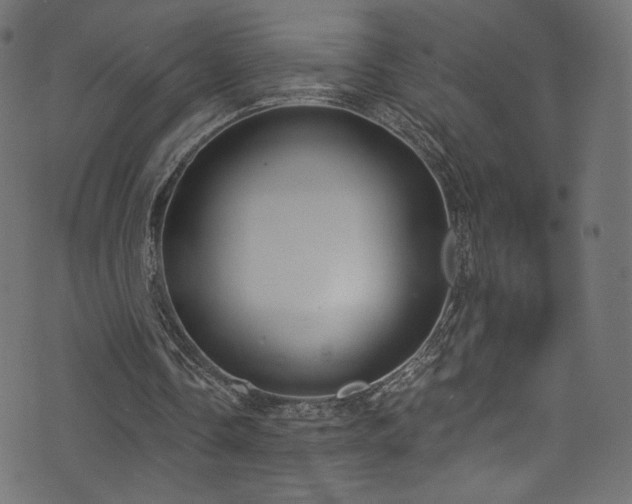 X0000074340338200608251356