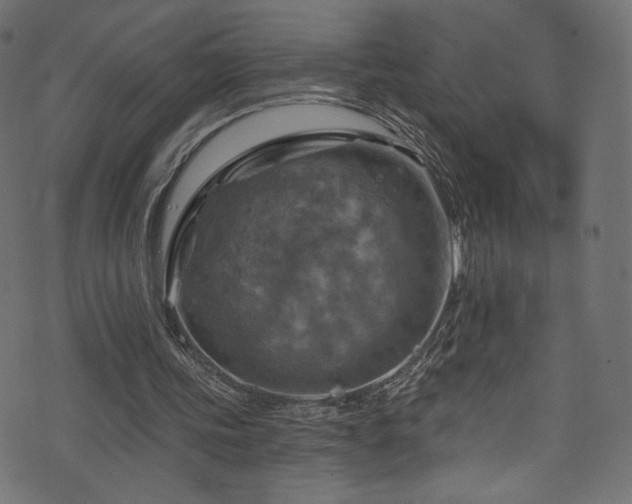 X0000074340339200608251356