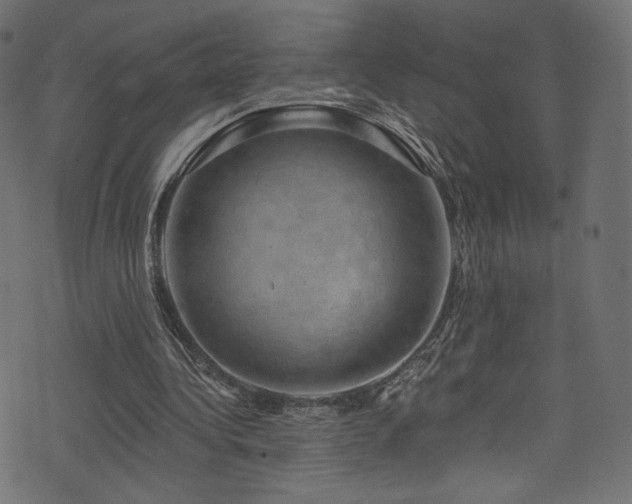 X0000074340340200608251356