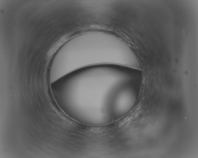 X0000074340341200608251356