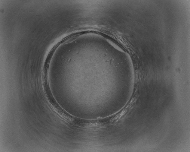 X0000074340342200608251356