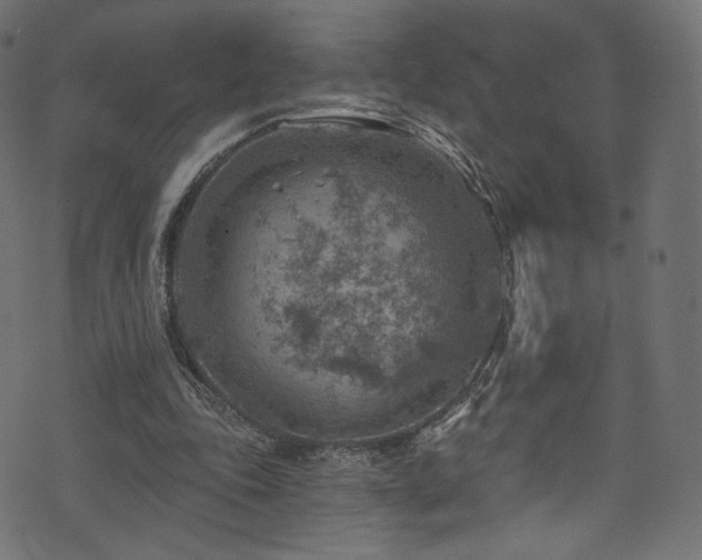 X0000074340343200608251356