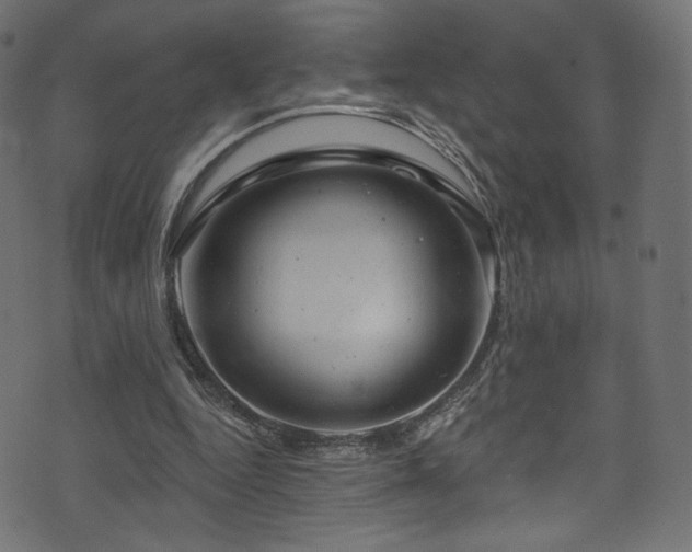 X0000074340344200608251356