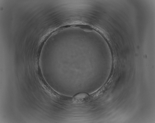 X0000074340345200608251356