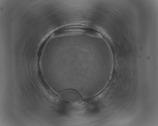 X0000074340346200608251356