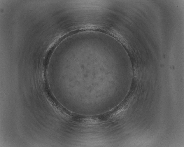 X0000074340347200608251356