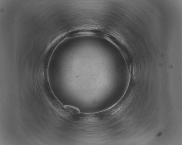 X0000074340348200608251356