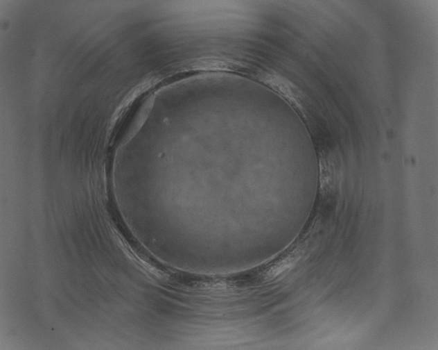 X0000074340349200608251356