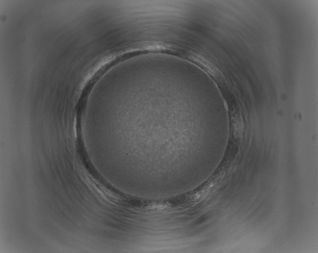 X0000074340350200608251356