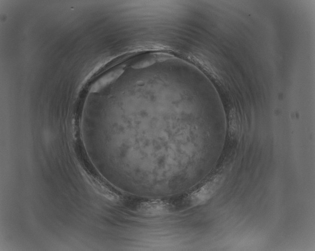 X0000074340351200608251356