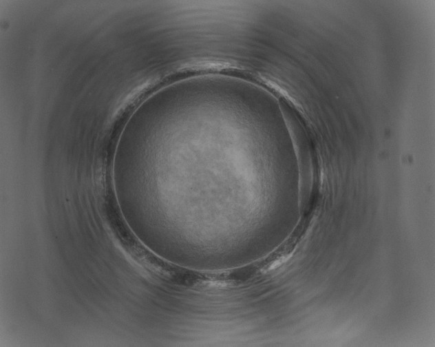 X0000074340352200608251356