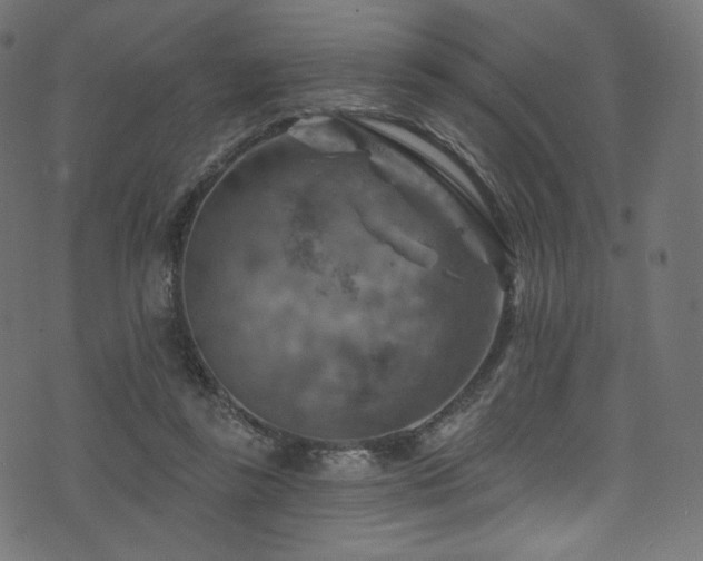 X0000074340355200608251356