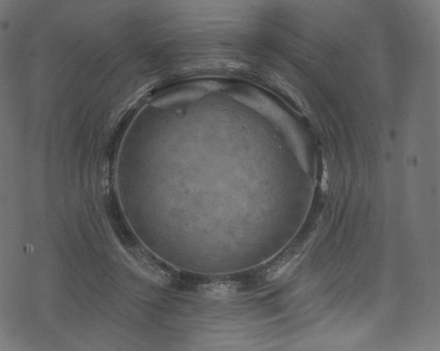 X0000074340356200608251356