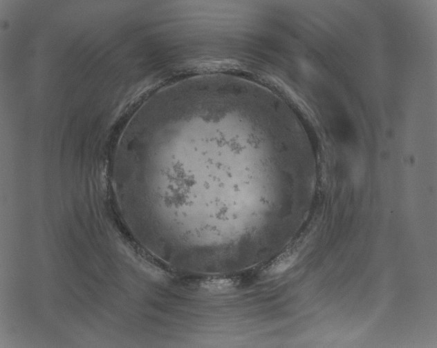 X0000074340357200608251356